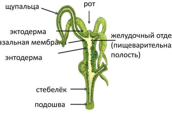 Mega не работает