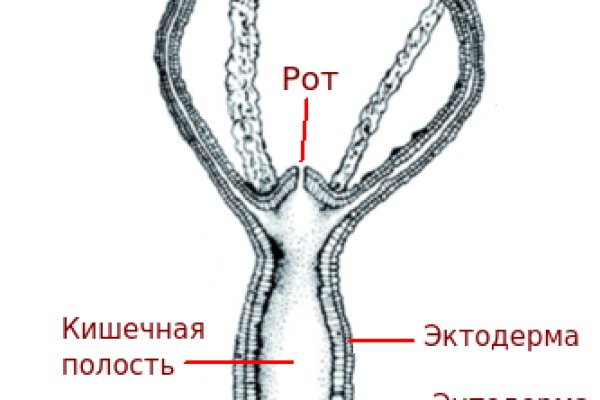 Мега даркнет ссылки megadarknetonion