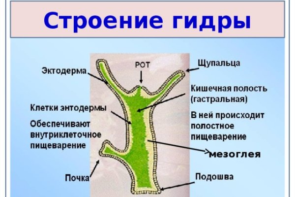 Ссылка онион BlackSprut