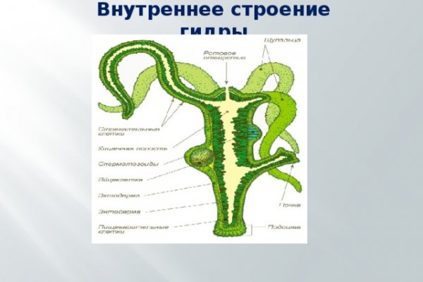 Ссылка онион mega