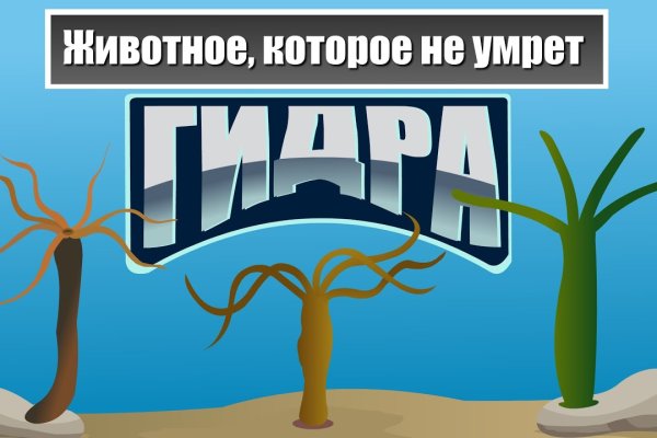 Купить гашиш телеграмм бошки