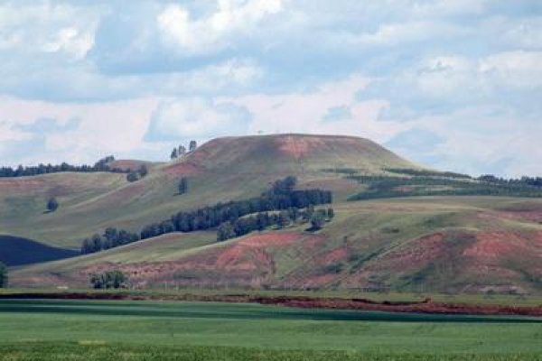 Ссылка на сайт кракен в тор браузере