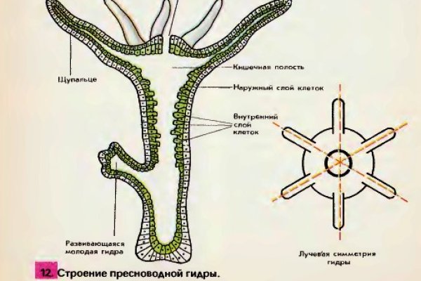 Ссылка com меги